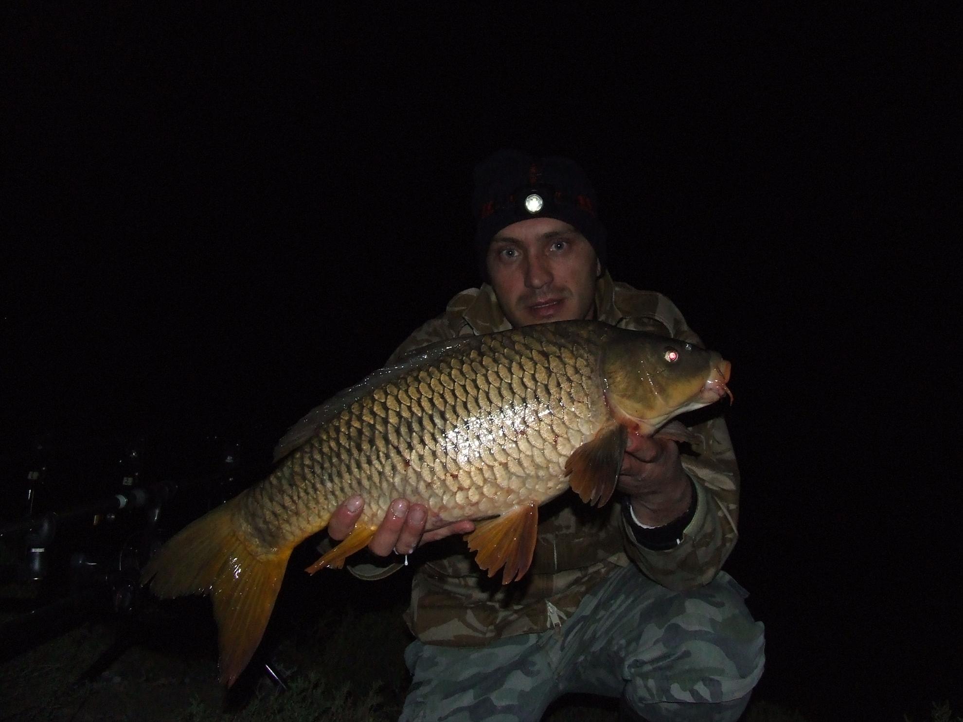 Crapi de Cipru - dscf1797.JPG